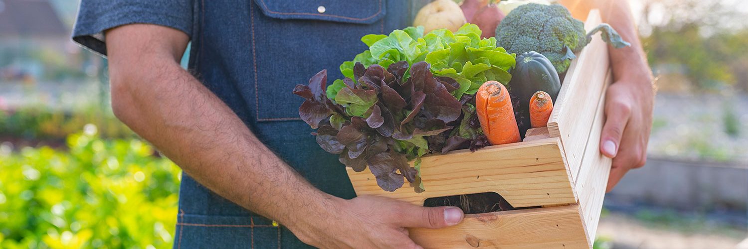 sustainable-food