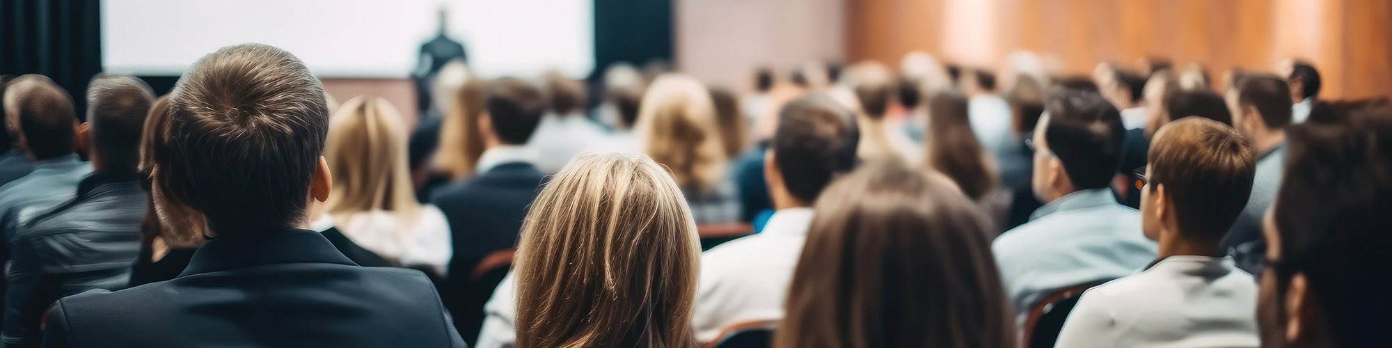 people watching presentation