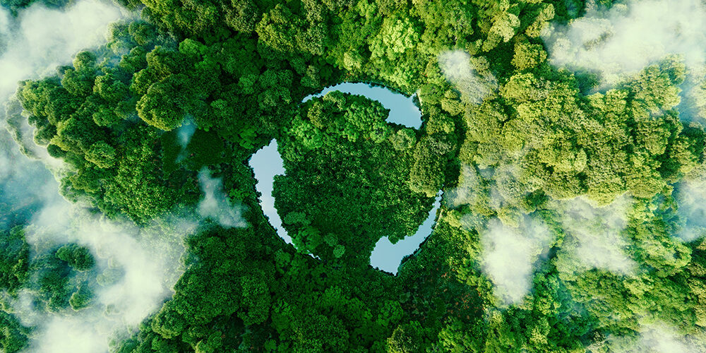 A birdseye view of the rainforest with clouds and three arrows in a circle in the centre representing sustainability.