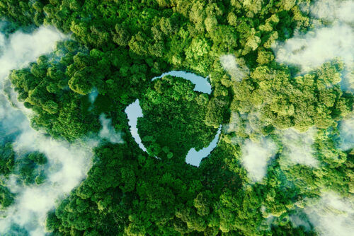 A birdseye view of the rainforest with clouds and three arrows in a circle in the centre representing sustainability.